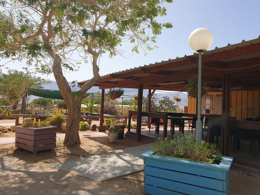 Elifaz Desert Experience Holiday ภายนอก รูปภาพ