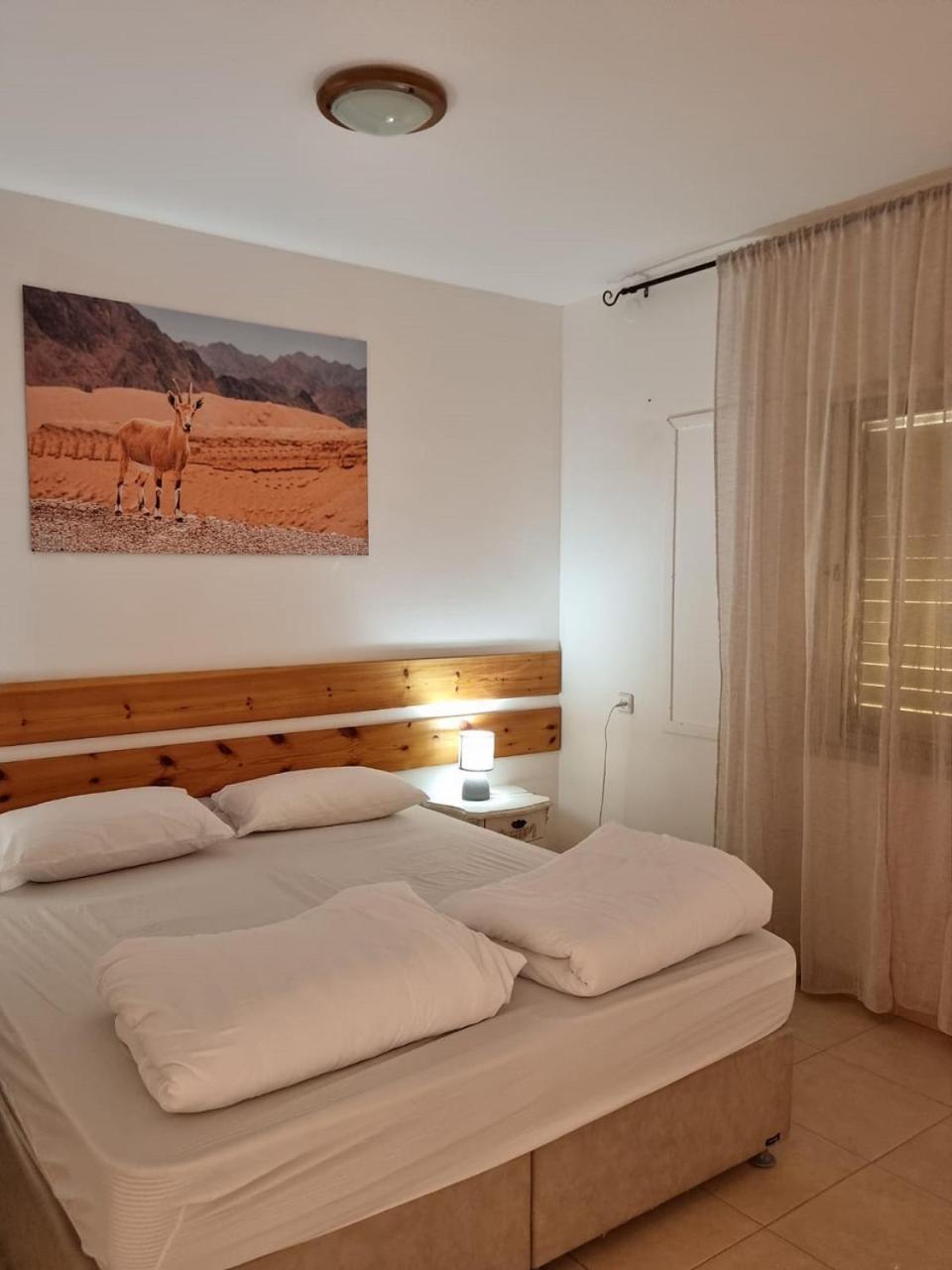 Elifaz Desert Experience Holiday ภายนอก รูปภาพ