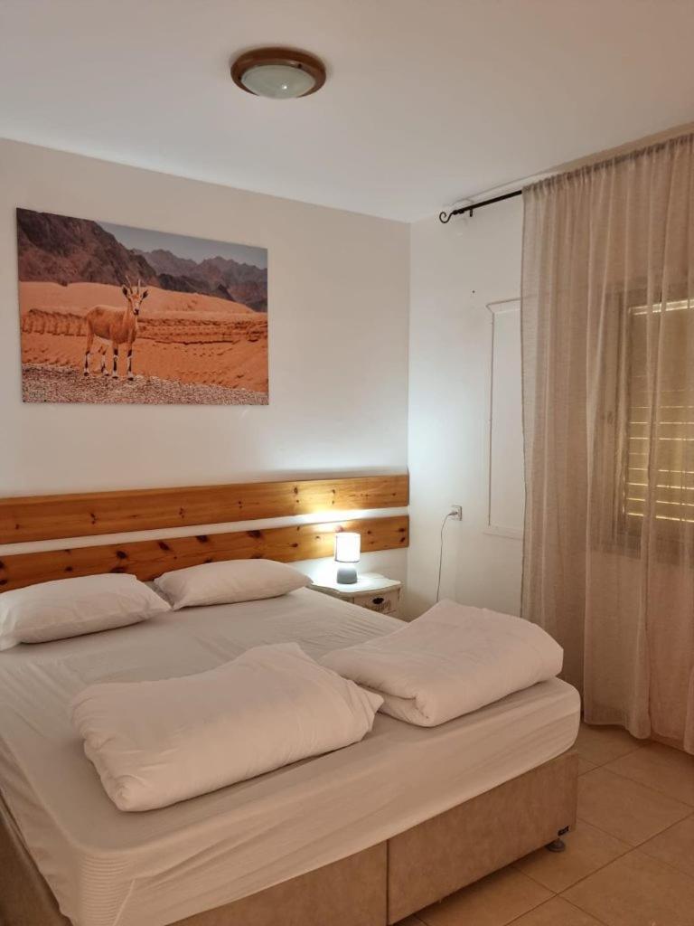 Elifaz Desert Experience Holiday ภายนอก รูปภาพ